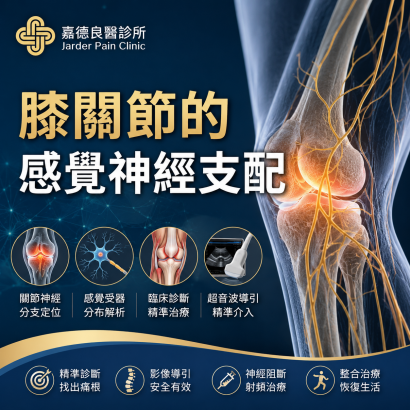 knee joint sensory innervation.png