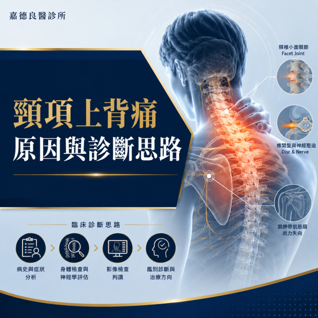頸項上背疼痛GPT.png