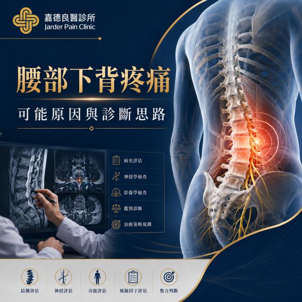 腰部下背疼痛2.png